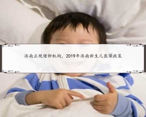济南正规借卵机构，2019年济南新生儿医保政策