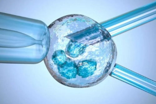 子宫发育不良的中医调理：案例分享及治疗方法解析