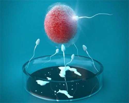 济南九零医院供卵金贵子华人优秀