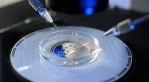 代孕的费用一般是多少,IVF资讯|美国第三代试管婴儿全流程费用.超全!