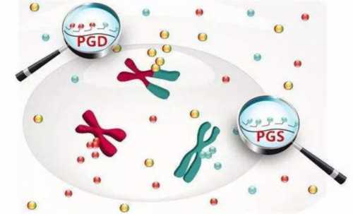 试管改良长方案成功率