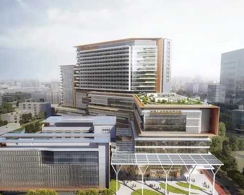 青岛妇婴医院可以做供卵试管吗