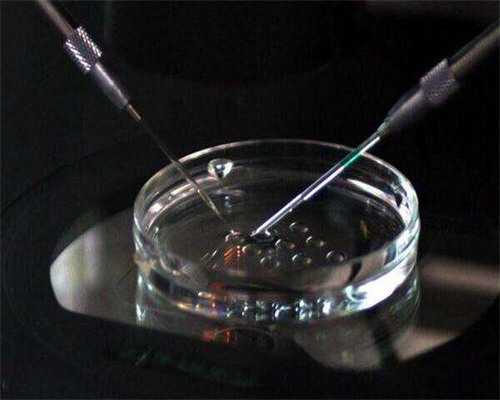 济南三代试管婴儿私立医院盘点！费用及流程一览！