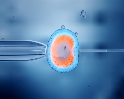 试管婴儿：需要注意的细节与事项