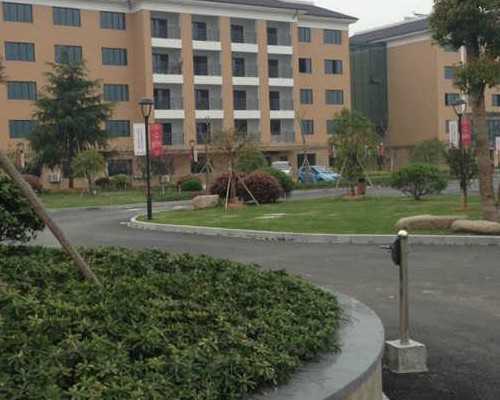 代生福美包生男孩_代怀包办出生证明,48岁高龄月经乱了还会怀孕吗？试管婴儿