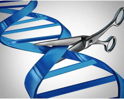 济南三代供卵试管一览，附济南试管生子所需费用