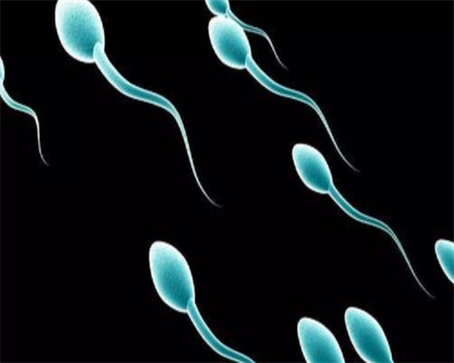 中国正规的供卵机构_代孕中心咨询电话,35岁AMH值多少为卵巢早衰