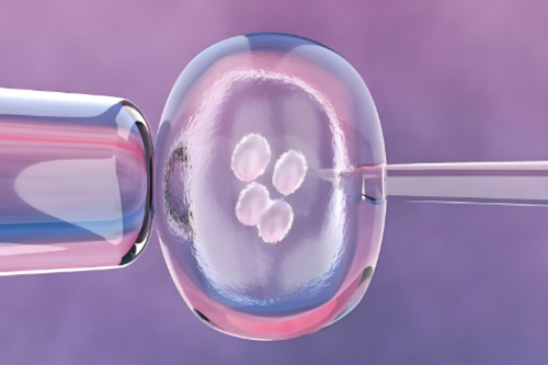 饮食，告别子宫内膜异位症困扰