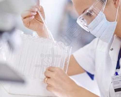 济南哪个医院做试管婴儿成功率比较高?