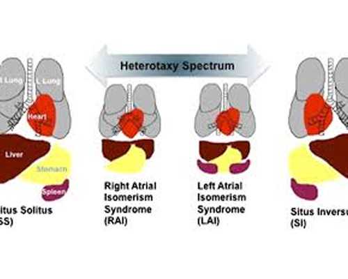 青岛供卵试管-2026青岛供卵试管卵子助孕费用
