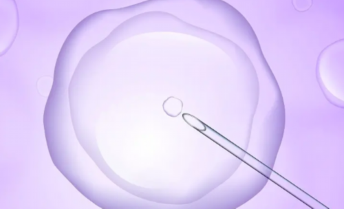 潍坊做试管生宝宝大概要多少钱