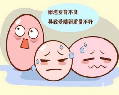 合肥代孕哪里医院最好,做监测排卵要每天去医院吗