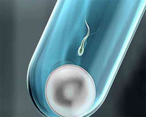 济南供卵助孕机构最新排名