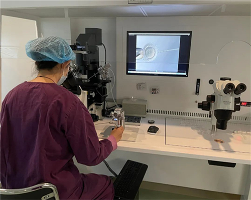 试管婴儿取卵前需要关注的事项