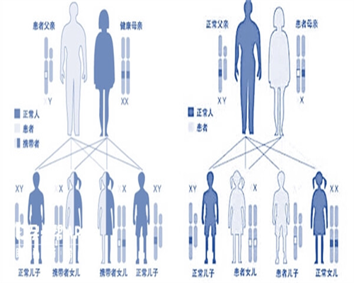 济南市妇幼保健院试管婴儿成功率如何？费用清单来了！