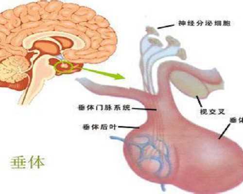 山东试管供卵试管|山东供卵试管机构山东供卵试管|山东供卵试管供卵公司