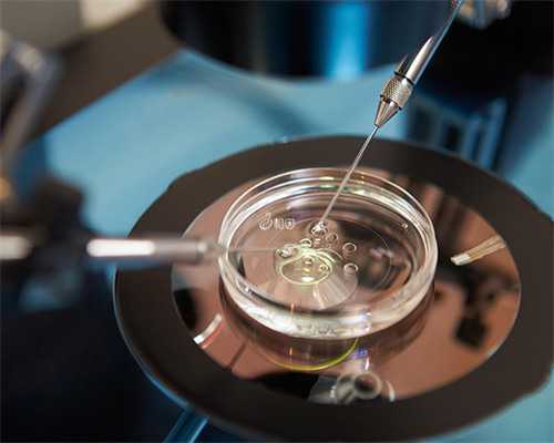 济南做试管婴儿选齐鲁医院好还是省立好？