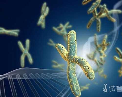 赴美试管婴儿成功率这个年龄段有保障