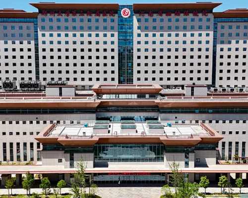 养囊主要看精子？养囊主要看精子还是卵子