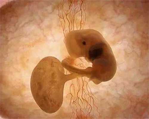 济南试管私立医院有哪些名单？济南有试管婴儿医院?？