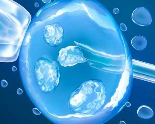 山东试管助孕网_助孕中介套餐,现在济南可以做子宫移植手术吗(济南可以做肾移