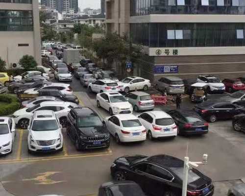 去海外代孕,人工授精后可以吃火龙果，做完人工授精可以吃龙虾吗