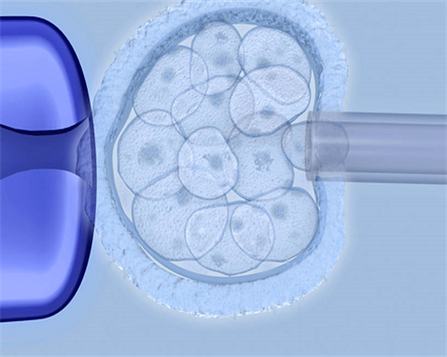 2026连云港三代供卵生男孩医院名单已公布！内附捐卵排队时间详情