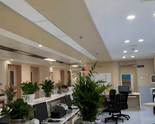 产恢复与高龄孕妇的孕期保健：需关注的要点