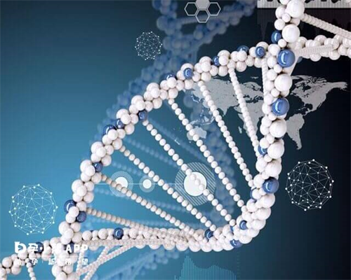 双方染色体检查费用(染色体检查要多少钱)