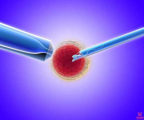 找临沂市人民医院生殖科哪个大夫做试管比较好？