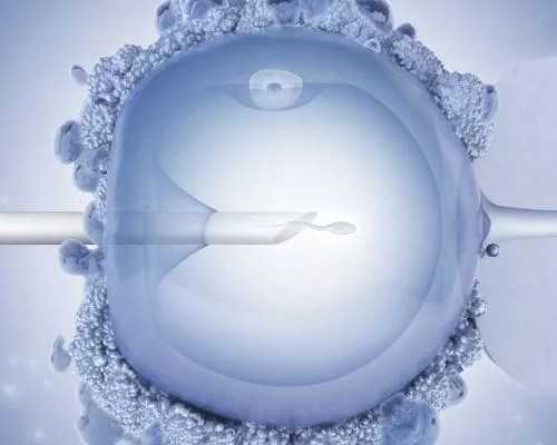 山东潍坊附属生殖医院哪个大夫试管移植技术好？