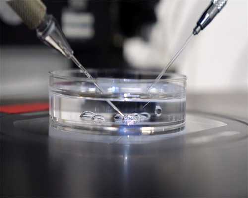 代孕排名,对他人侮辱谩骂诅咒是否构成犯罪（谩骂构成犯罪吗）