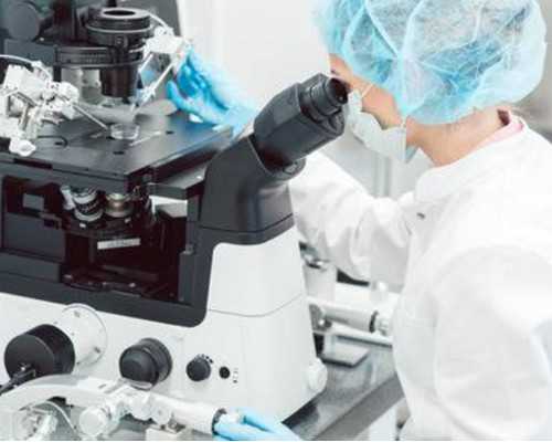 同房影响受精卵着床吗