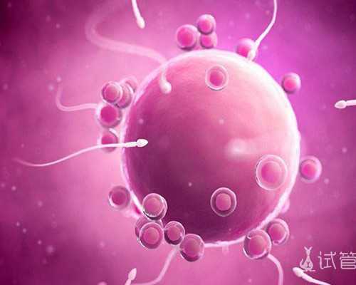 济南试管婴儿医院排行榜中成功率排名第一的是哪家？