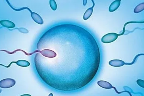 青岛民营医院捐卵2026年青岛供卵试管热医院排行榜