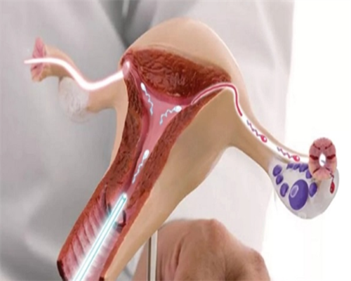 济南那里有代孕