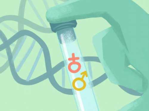 青岛私人机构包生男孩真的吗？可信吗？