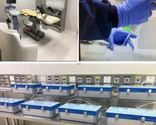 济南十大试管婴儿医院地址？山东济南试管医院排名？