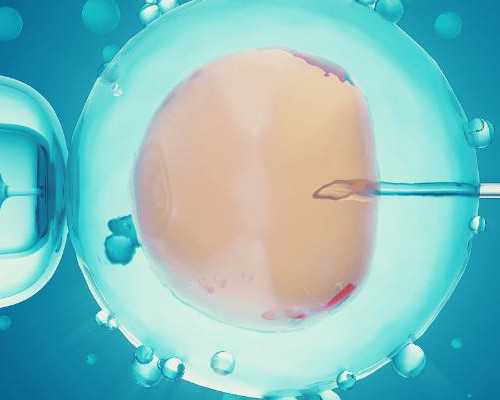 潍坊月子中心价格表速览，2026寒亭性价比高的有这几家