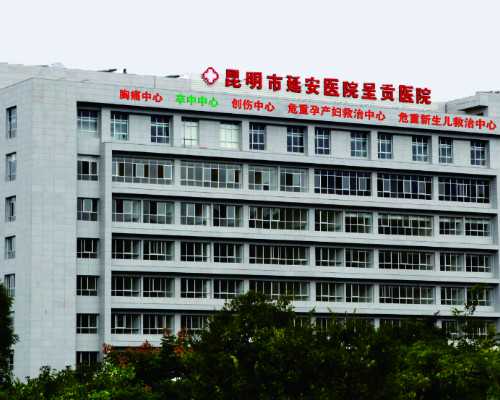 试管移植前放乳酸菌的作用有哪些！试管移植前如何用药！