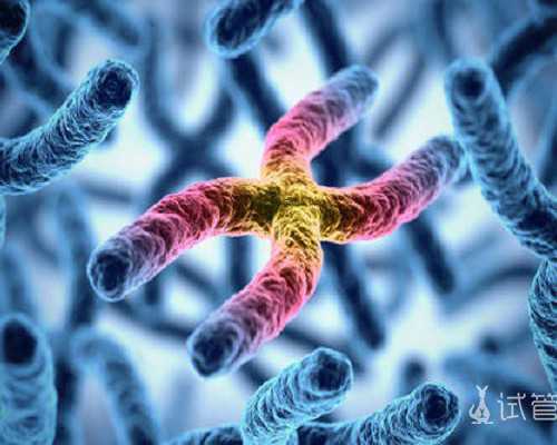 国家供卵要求_专业供卵试管代孕,「三代试管胚胎移植」鹰潭三代试管移植女宝