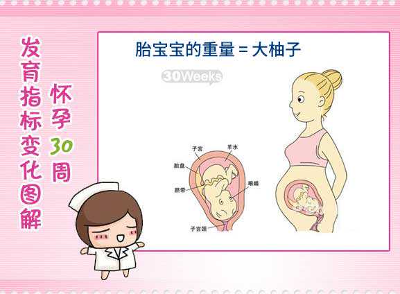 济南代生技术成熟吗，【怀孕三十周】怀孕30周胎儿图_孕妇饮食及注意事项