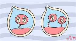 济南包生男孩试管供卵婴儿，怎样预防妊娠期血糖高