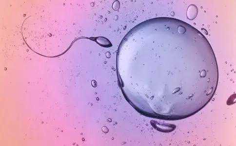 济南正规的供卵助孕机构，最佳受孕时间的体征