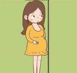 济南代怀价格qq群，孕32周腹围宫高标准是多少