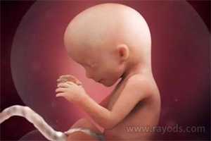 供卵试管生双胞胎机构，什么是排卵障碍？排卵障碍都有哪些症状？