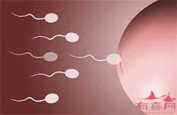 山东试管代孕包成功，山东济南可以做三代试管公立医院有哪些