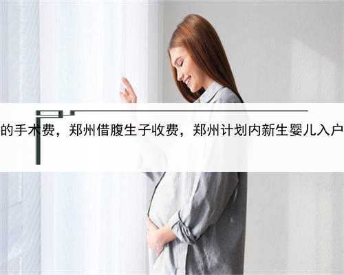 代孕的手术费，郑州借腹生子收费，郑州计划内新生婴儿入户材料