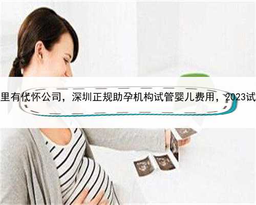 有人需要代孕吗，深圳哪里有代怀公司，深圳正规助孕机构试管婴儿费用，20