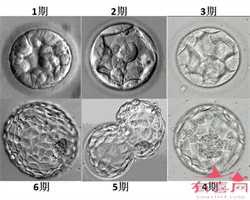 苏州代孕中心多少钱,南京第三代试管代孕儿童医院排名？试管婴儿-ET机构列表